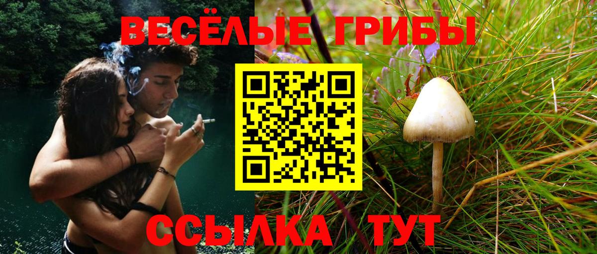 Псилоцибиновые грибы ЛСД  где найти   Домодедово  Вход с VPN 