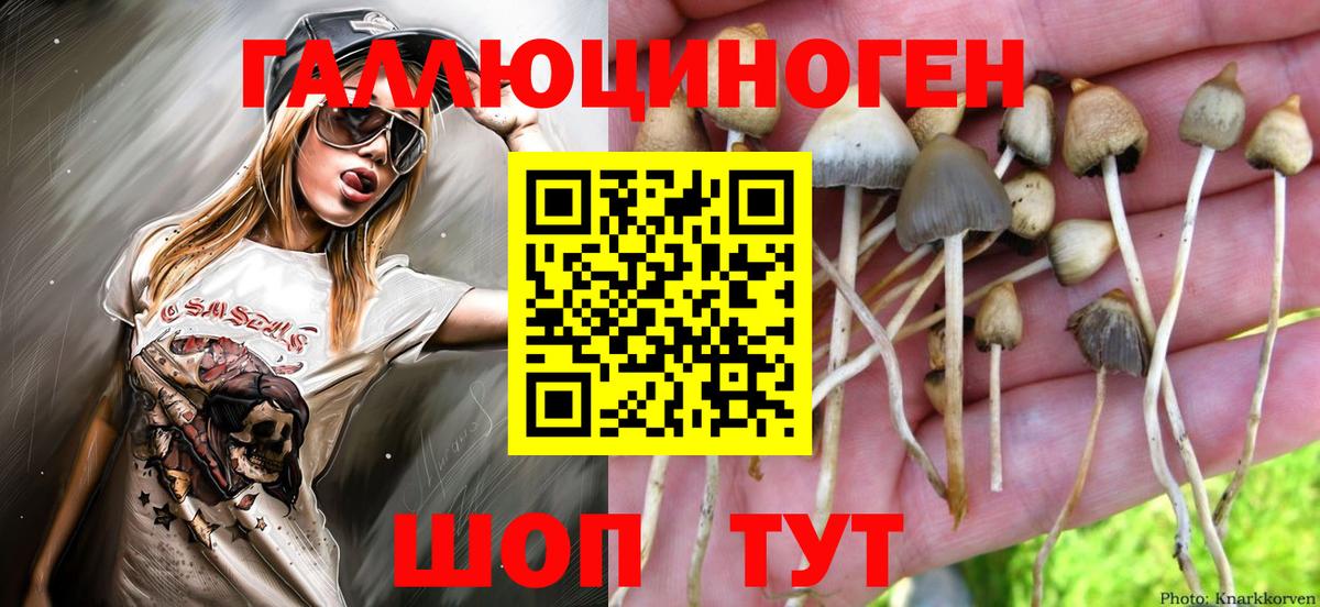 Псилоцибиновые грибы Magic Shrooms Домодедово